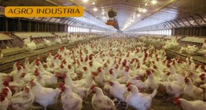 alquiler de grupos electrogenos agroindustria
