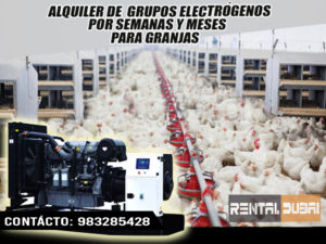 grupos electrogenos